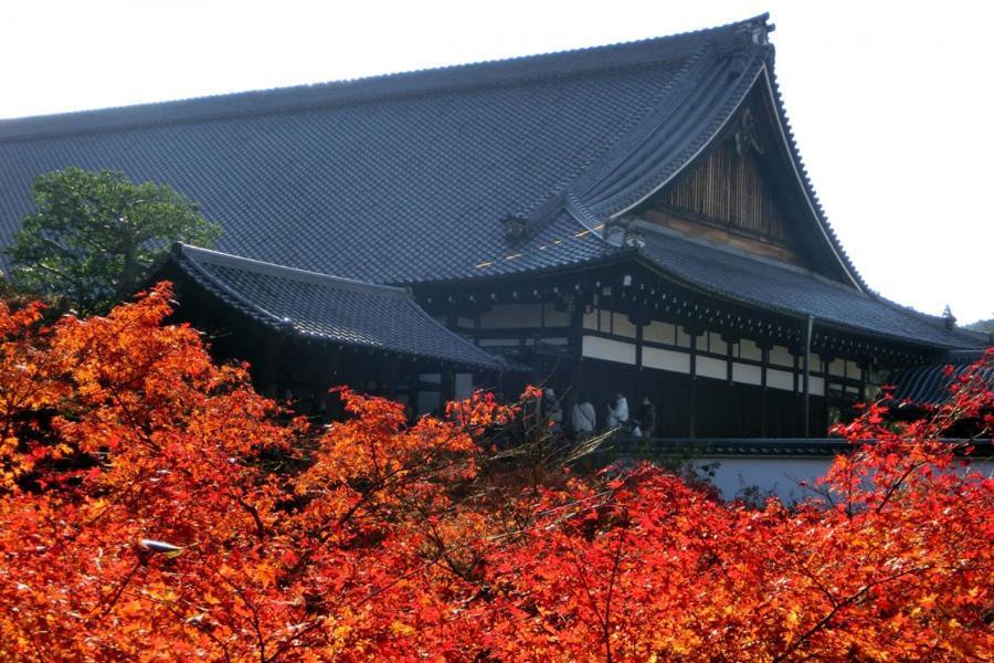 Yutaka Hotel Kyoto Exterior foto